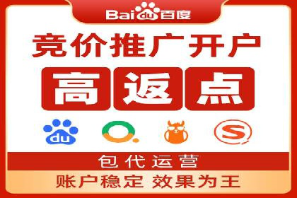 某电商平台sem竞价运营的突破与挑战